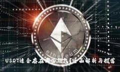 USDT适合存在哪些钱包？全面解析与推荐