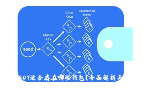 USDT适合存在哪些钱包？全面解析与推荐