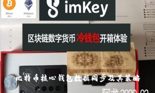 比特币核心钱包数据同步及其策略