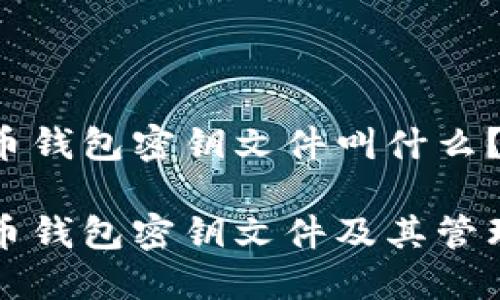 比特币钱包密钥文件叫什么？

比特币钱包密钥文件及其管理详解