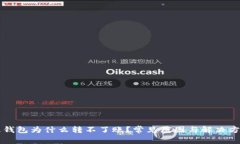 区块链钱包为什么转不了账？常见原因与解决方