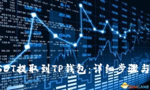 如何将USDT提取到TP钱包：详细步骤与注意事项