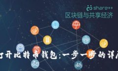 如何打开比特币钱包：一步一步的详尽指南