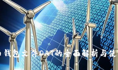 比特币钱包文件DAT的全面解析与使用指南