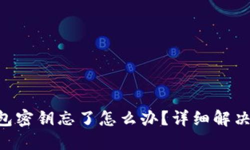 ibaoti以太坊钱包密钥忘了怎么办？详细解决方案与预防措施