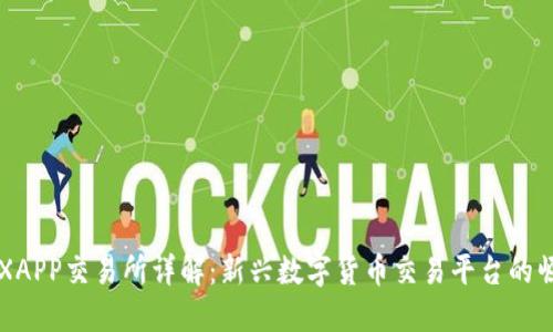 IMXAPP交易所详解：新兴数字货币交易平台的崛起