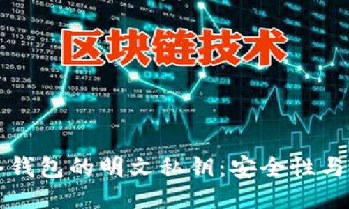 比特币冷钱包的明文私钥：安全性与使用指南