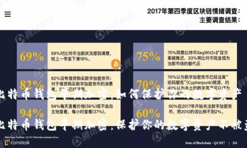 比特币钱包早期加密：如何保护你的数字资产

比特币钱包早期加密：保护你的数字资产不被盗