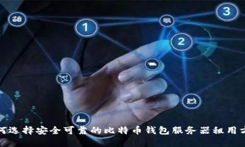如何选择安全可靠的比特币钱包服务器租用方案