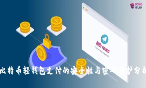 比特币轻钱包支付的安全性与密码保护分析