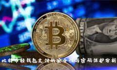 比特币轻钱包支付的安全性与密码保护分析