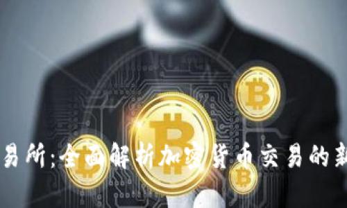 IM交易所：全面解析加密货币交易的新时代