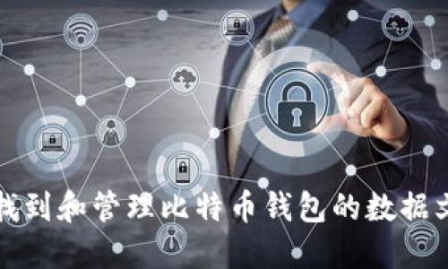 如何找到和管理比特币钱包的数据文件夹