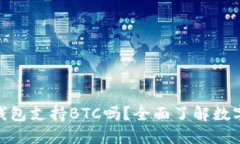 imToken钱包支持BTC吗？全面了解数字资产管理