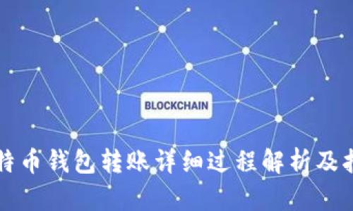 比特币钱包转账详细过程解析及指南