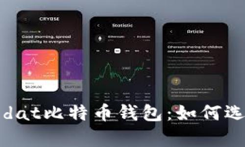 全面解析dat比特币钱包：如何选择与使用