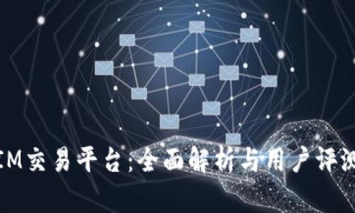 IM交易平台：全面解析与用户评测