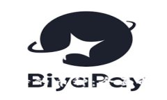yinwenzi/yinwenzi以太坊钱包支持的币种：全面解析与