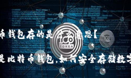 比特币钱包存的是什么意思？

什么是比特币钱包，如何安全存储数字资产