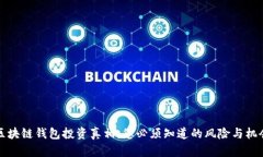 区块链钱包投资真相：您必须知道的风险与机会