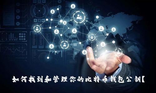 如何找到和管理你的比特币钱包公钥？