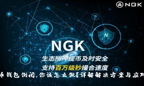 比特币钱包倒闭，你该怎么做？详解解决方案与应对措施