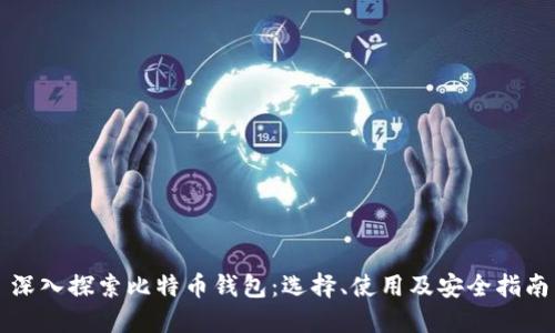 深入探索比特币钱包：选择、使用及安全指南