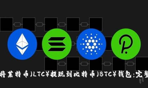 如何将莱特币(LTC)提现到比特币(BTC)钱包:完整指南