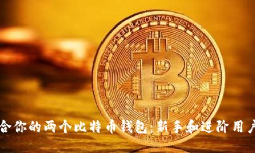 如何选择适合你的两个比特币钱包：新手和进阶用户的全面指南