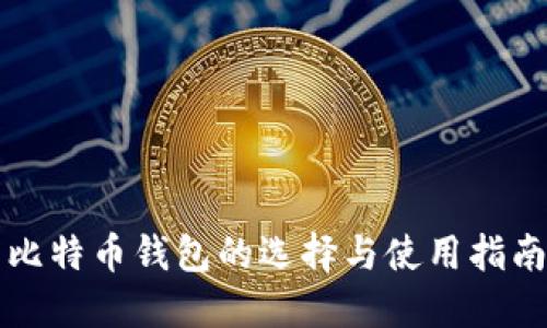 比特币钱包的选择与使用指南