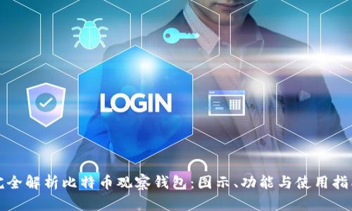 完全解析比特币观察钱包：图示、功能与使用指南