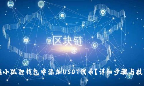 如何在小狐狸钱包中添加USDT代币？详细步骤与技巧解析