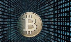   解决比特币钱包安装问题的终极指南 /  guanjia