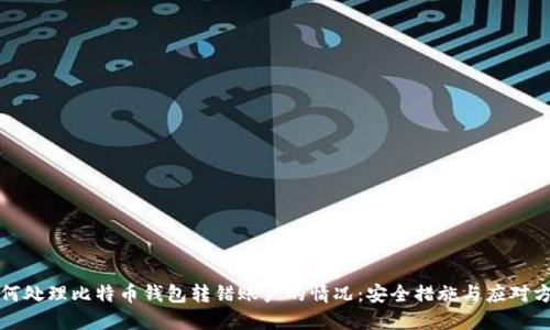 如何处理比特币钱包转错账户的情况：安全措施与应对方法