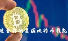 如何选择适合你的美国比特币钱包：全面指南