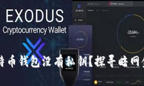 为什么暗网比特币钱包没有私钥？探寻暗网金融安全的真相