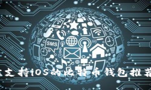 2023年最佳支持iOS的比特币钱包推荐及使用指南