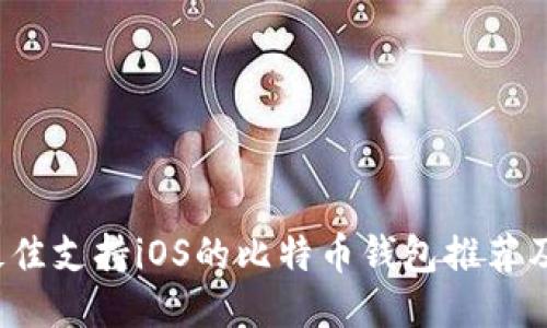 2023年最佳支持iOS的比特币钱包推荐及使用指南