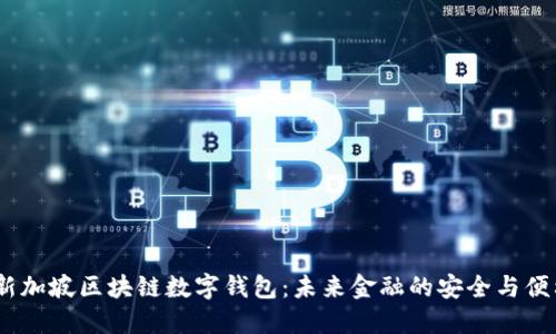 :新加坡区块链数字钱包：未来金融的安全与便利