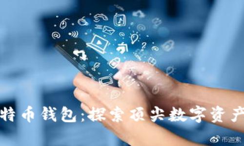 全球最大的比特币钱包：探索顶尖数字资产存储解决方案