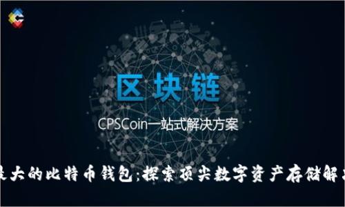 全球最大的比特币钱包：探索顶尖数字资产存储解决方案