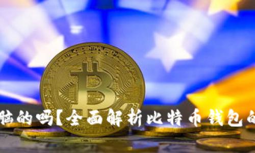 比特币钱包是电脑的吗？全面解析比特币钱包的类型与使用方式
