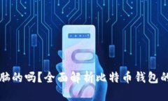 比特币钱包是电脑的吗？全面解析比特币钱包的