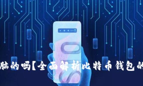 比特币钱包是电脑的吗？全面解析比特币钱包的类型与使用方式