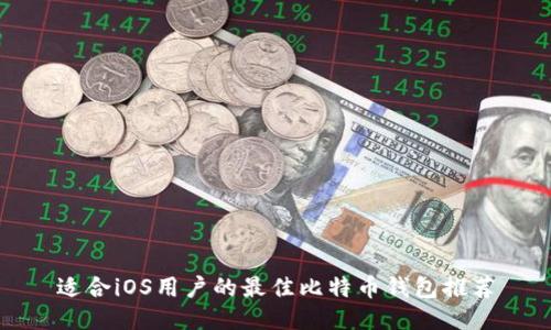 适合iOS用户的最佳比特币钱包推荐