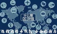 新手如何选择比特币钱包：全面指南与实用建议