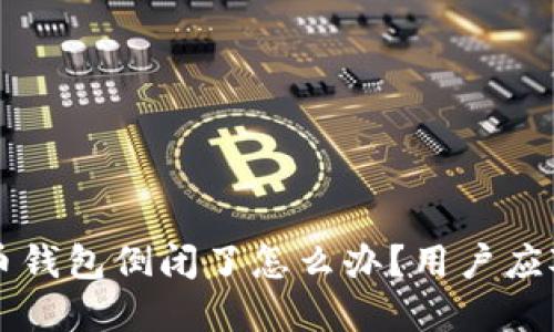 虚拟币钱包倒闭了怎么办？用户应对指南