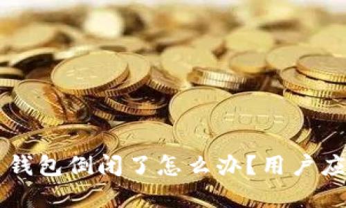 虚拟币钱包倒闭了怎么办？用户应对指南