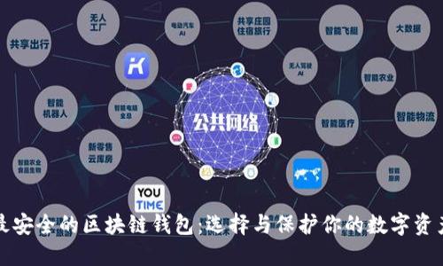 最安全的区块链钱包：选择与保护你的数字资产