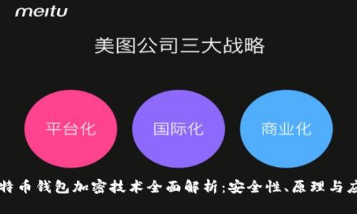 比特币钱包加密技术全面解析：安全性、原理与应用